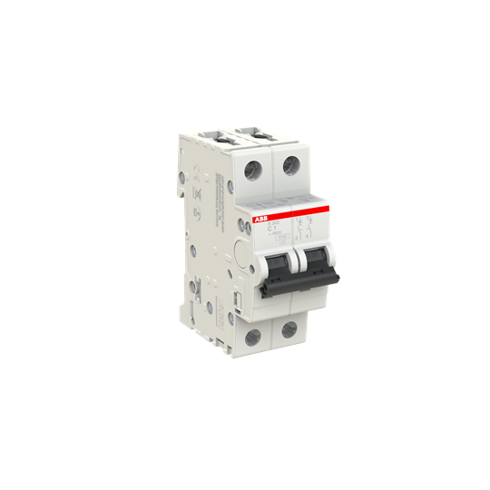 ABB S202-C1 Miniature Circuit Breaker - 2P - C - 1 A