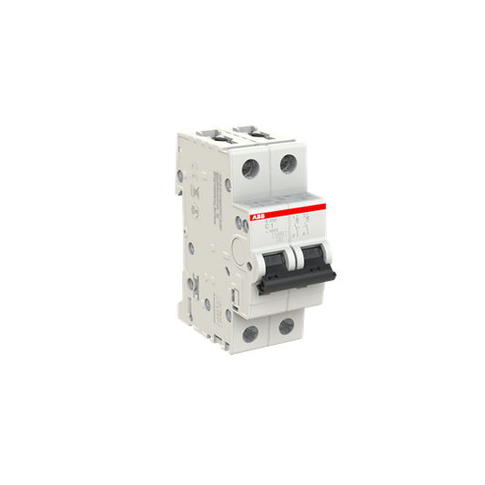 ABB S202-C1 Miniature Circuit Breaker - 2P - C - 1 A