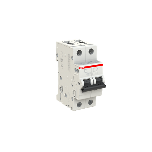 ABB S202-C4 Miniature Circuit Breaker - 2P - C - 4 A